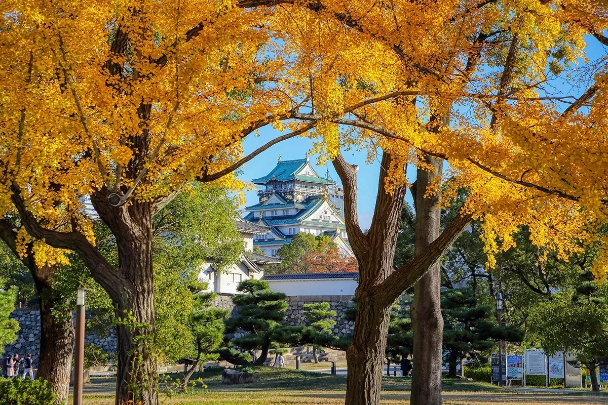 Lâu đài Osaka - Tour Du Lịch Osaka 6N5Đ