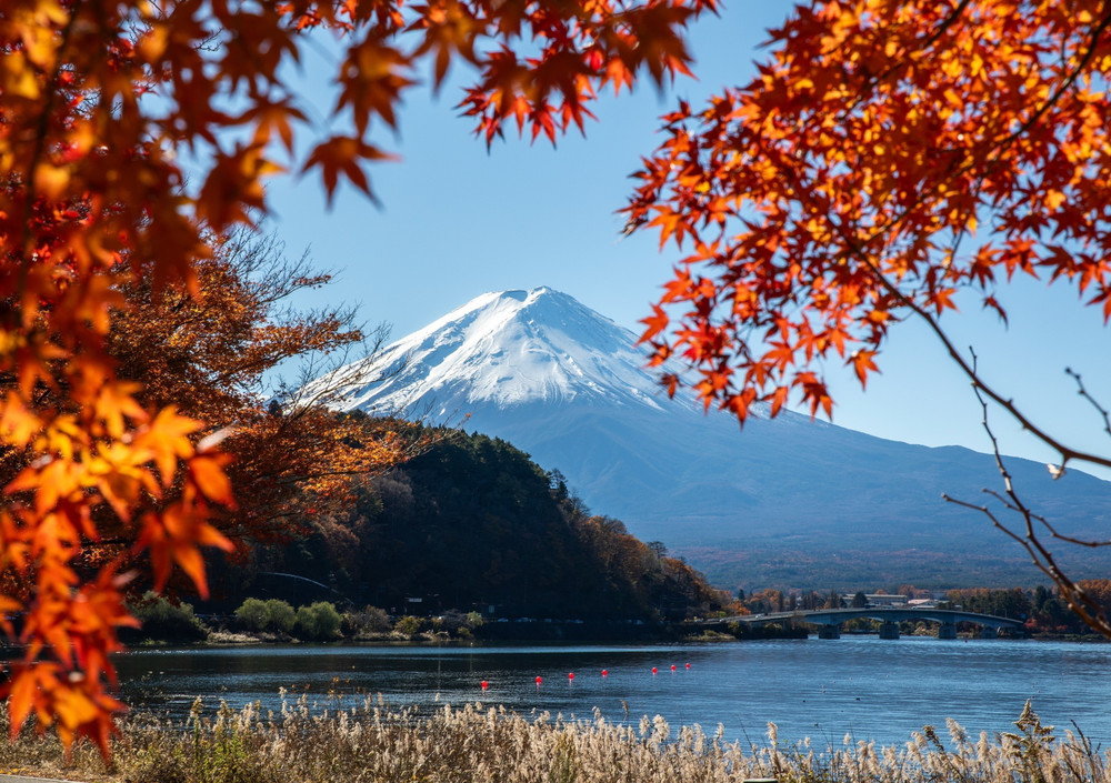 Núi Phú Sĩ - Tour Du Lịch Osaka 6N5Đ